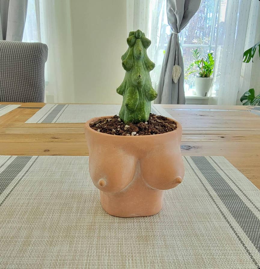 Simply Supplied Co – wholesale Kruka – Boob Kruka | Terrakotta Kruka | Roliga Bröst Kaktus Unik1