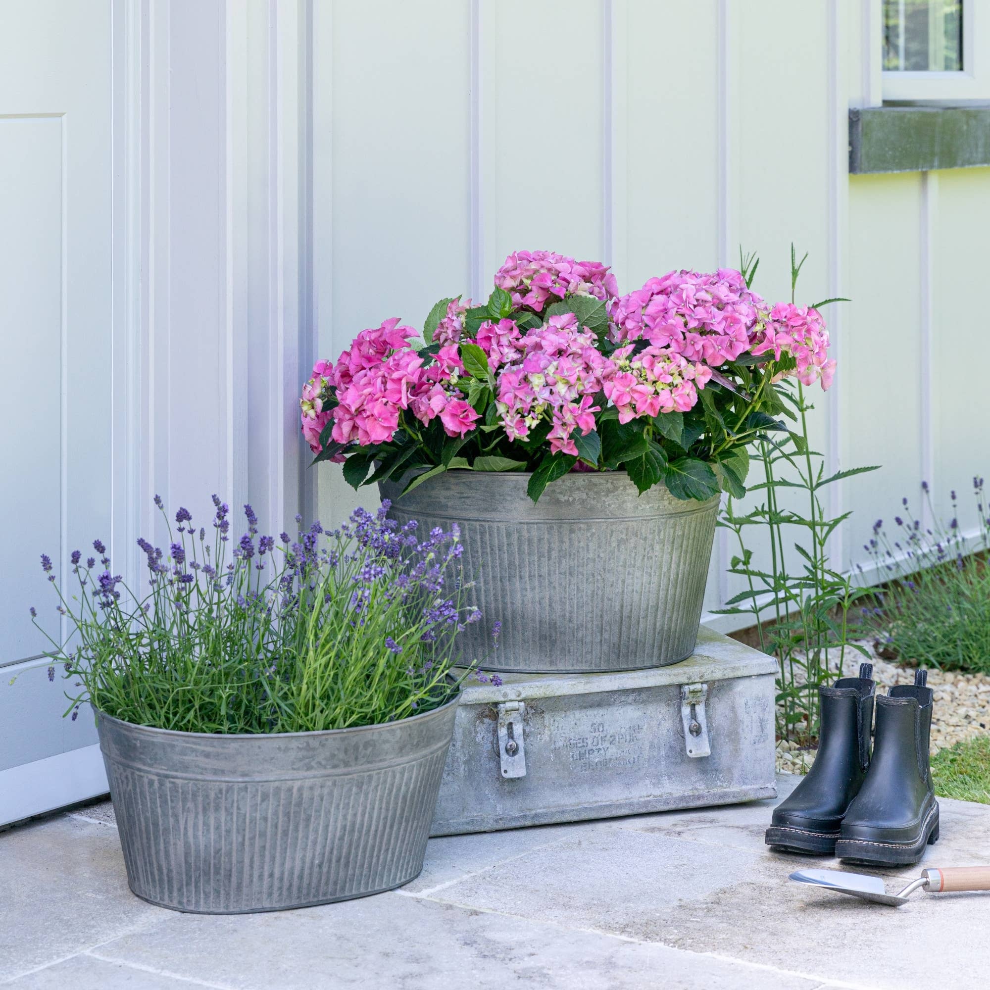 Ivyline – wholesale Plant pot – Outdoor Galvanised Trough3
