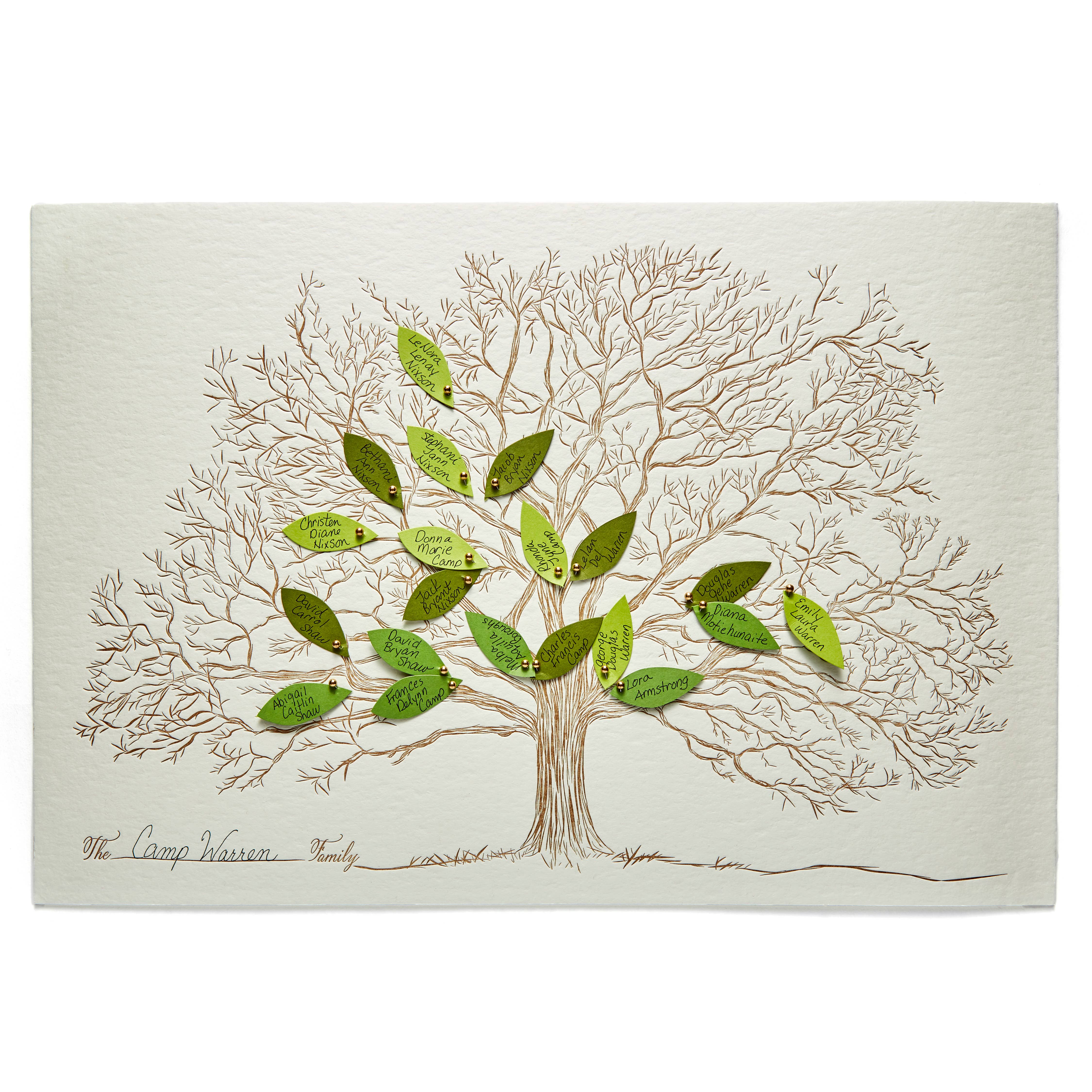 Color Box Design & Letterpress - Wholesale DIY Craft Kit - Family Tree1