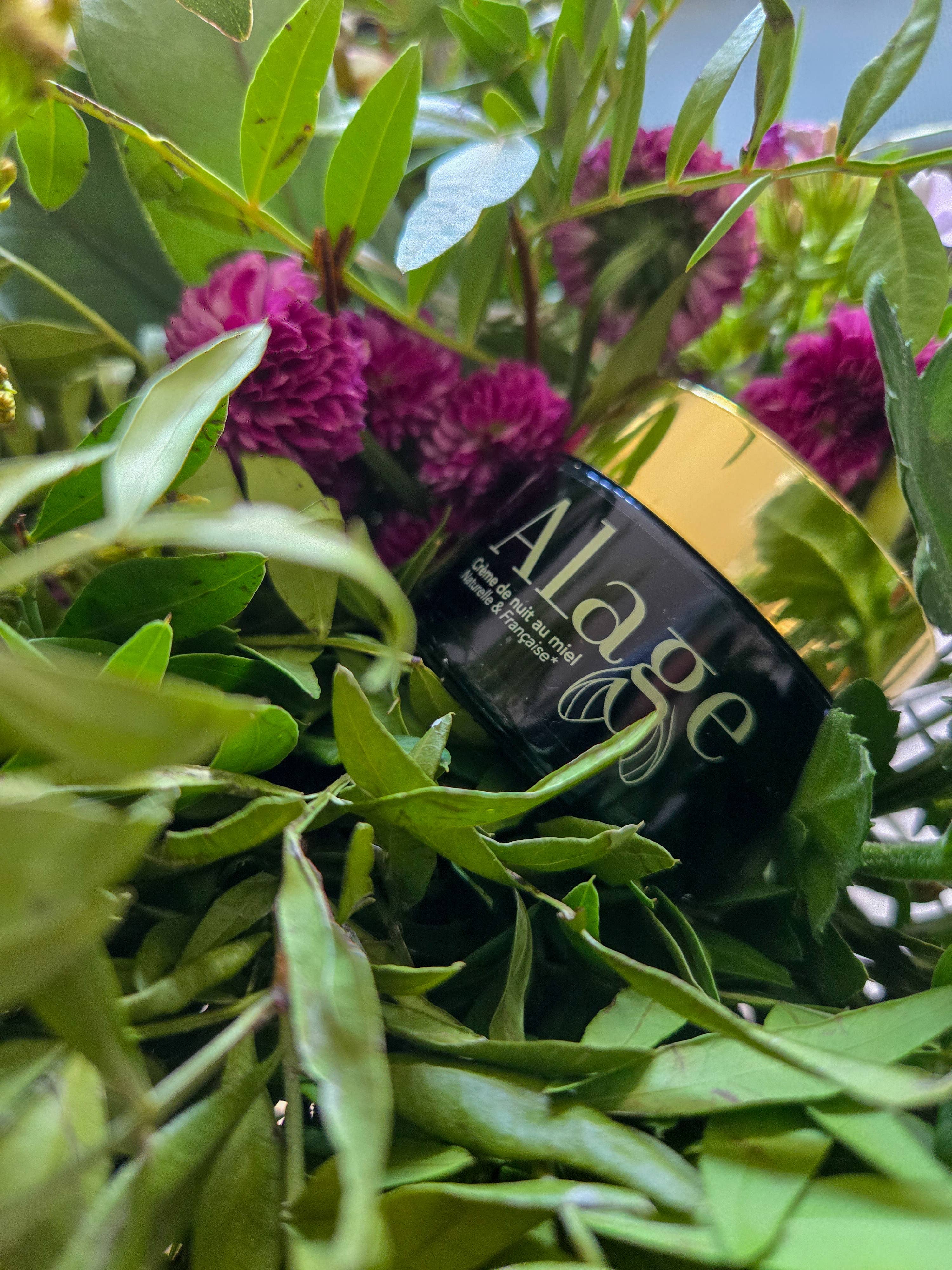 Alage - Venta al por mayor Cremas de noche - Crema facial de noche con bachukiol y vitamina E0