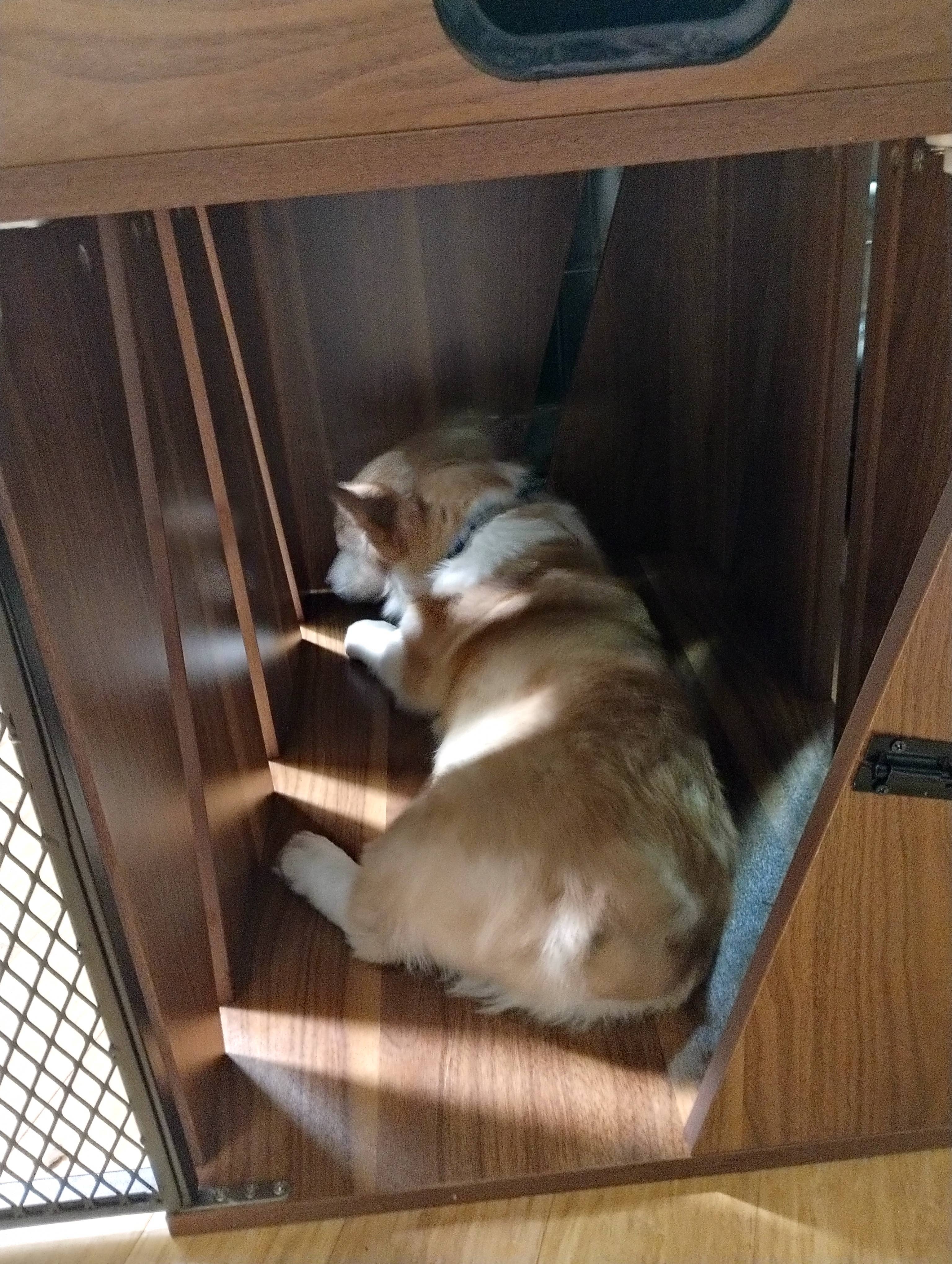 Designer Pet Products, LLC - Wholesale Pet Carrier - Cat/Dog - Dog Crate ,Dog Furniture ,Lucky Kennels Penny22