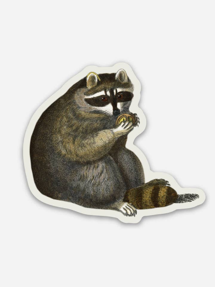 Unbothered Raccoon - Gap Filler Sticker for engroshandel hos Stay Home Club