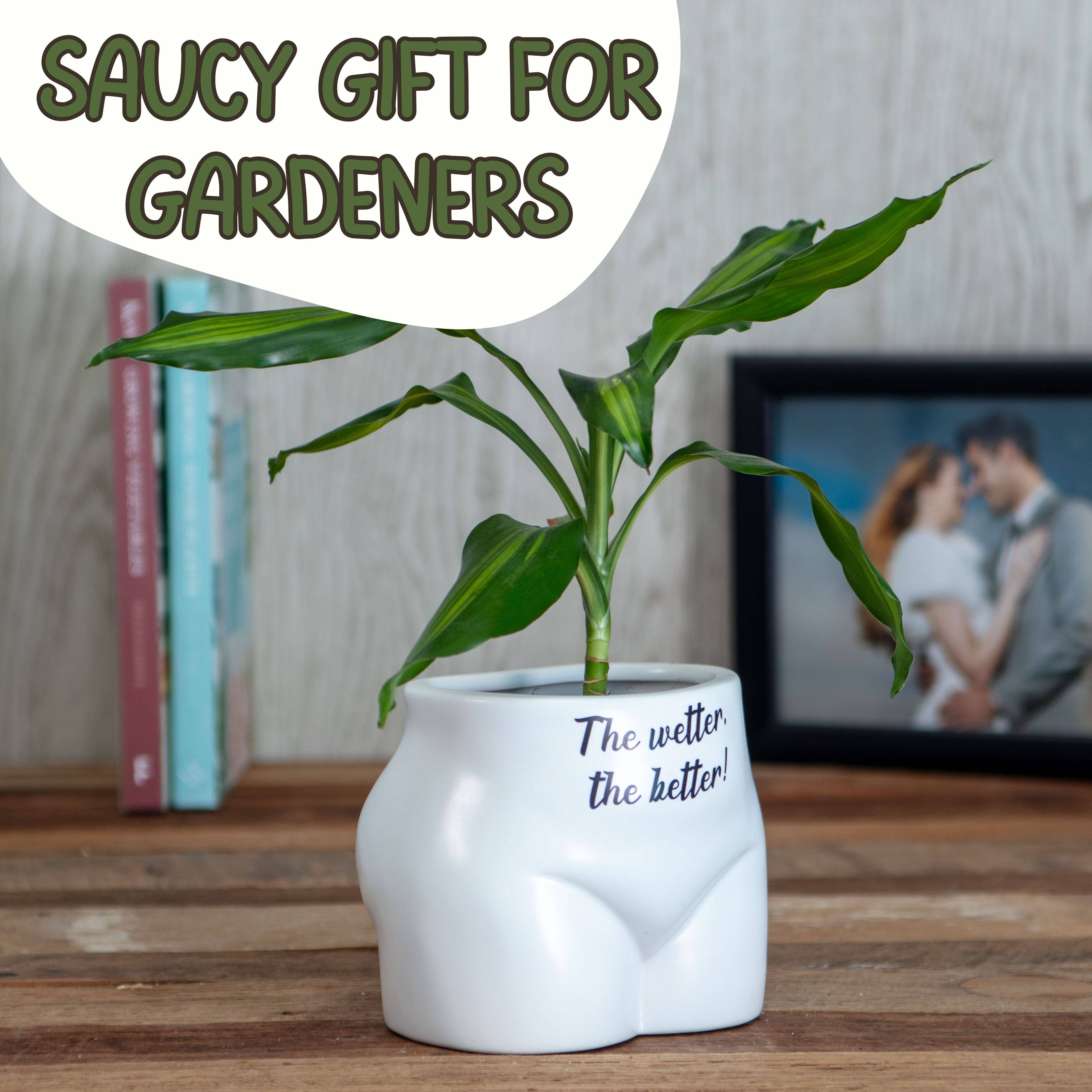 Boxer Gifts - Wholesale Plant pot - The Wetter The Better Put Some Plants On - Novelty Planter2