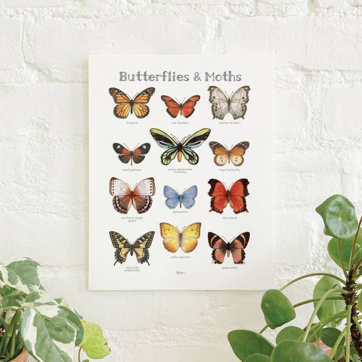 Prints / Vlinders & Motten 02 voor wholesale door Yeesan Loh