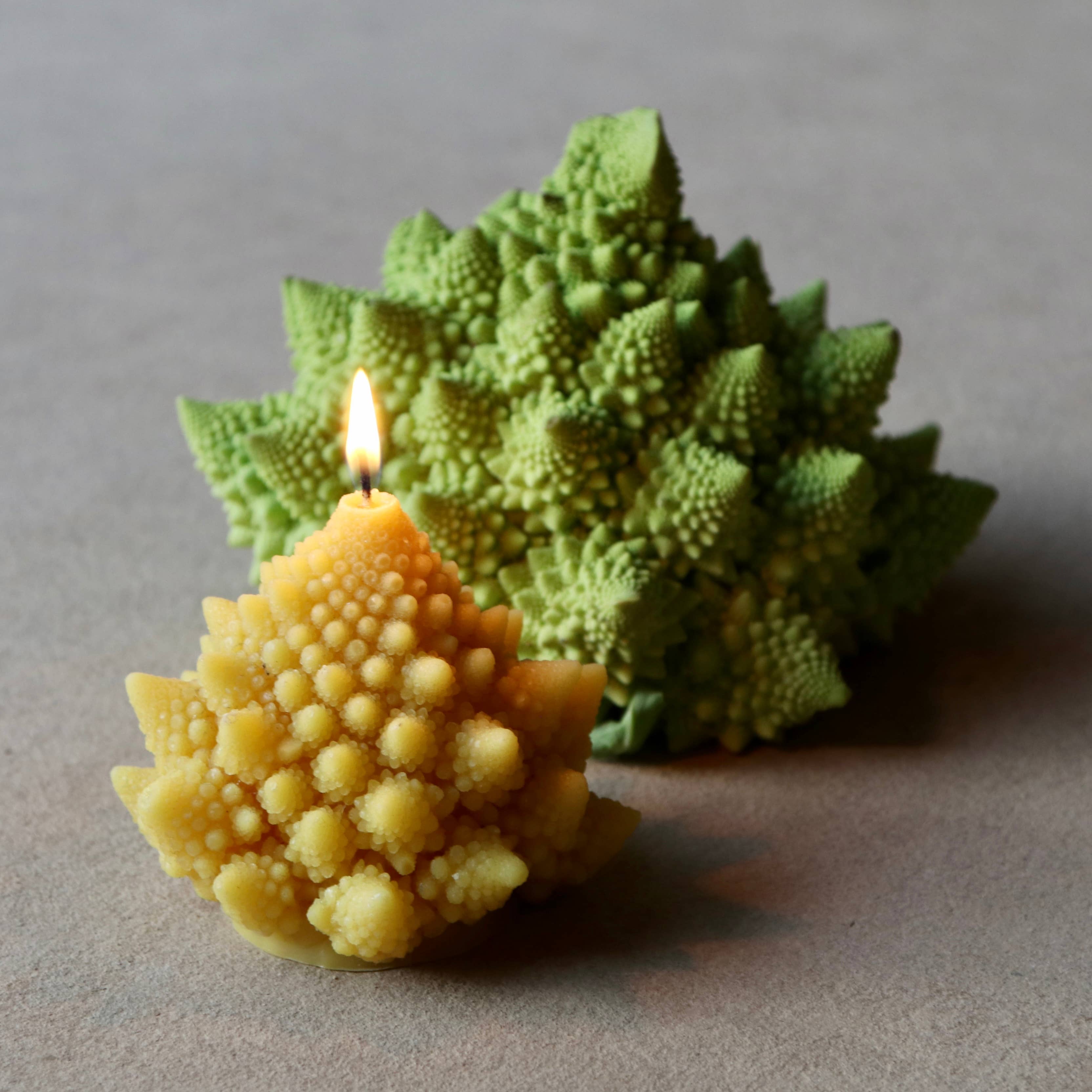 Artifaqt – Engroshandel Gavelys – Romanesco-bivokslys2