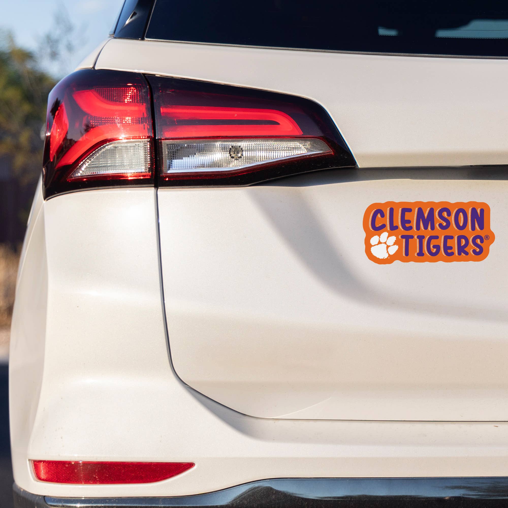 Rico Industries - Vente Breloque décorative pour voiture – unisexe - Autocollant 4" X 6" NCAA South Carolina Gamecocks Sketch Look1