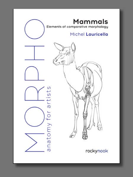 Morpho: Mammals for wholesale by Rocky Nook