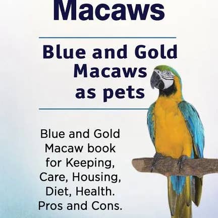 Books by splitShops - Wholesale Pets - Blue and Gold Macaws. Blue and Gold Macaws as pets. Blue and Gold Macaw book for Keeping, Care, Housing, Diet, Health. Pros and Cons. - Paperback