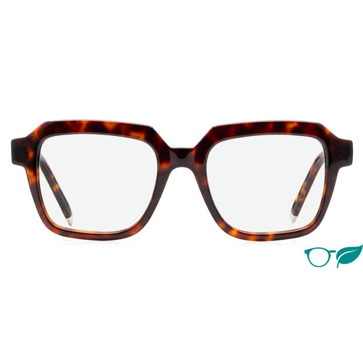 Elliot for wholesale by Iolla