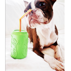 Rover Pet Products - Vente Jouet à mâcher – chien - Canette Toy21
