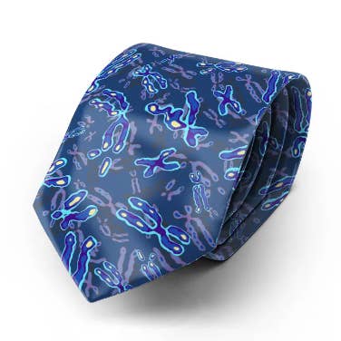 Cravate Chromosomes (bleue) pour la vente par Vivid Biology