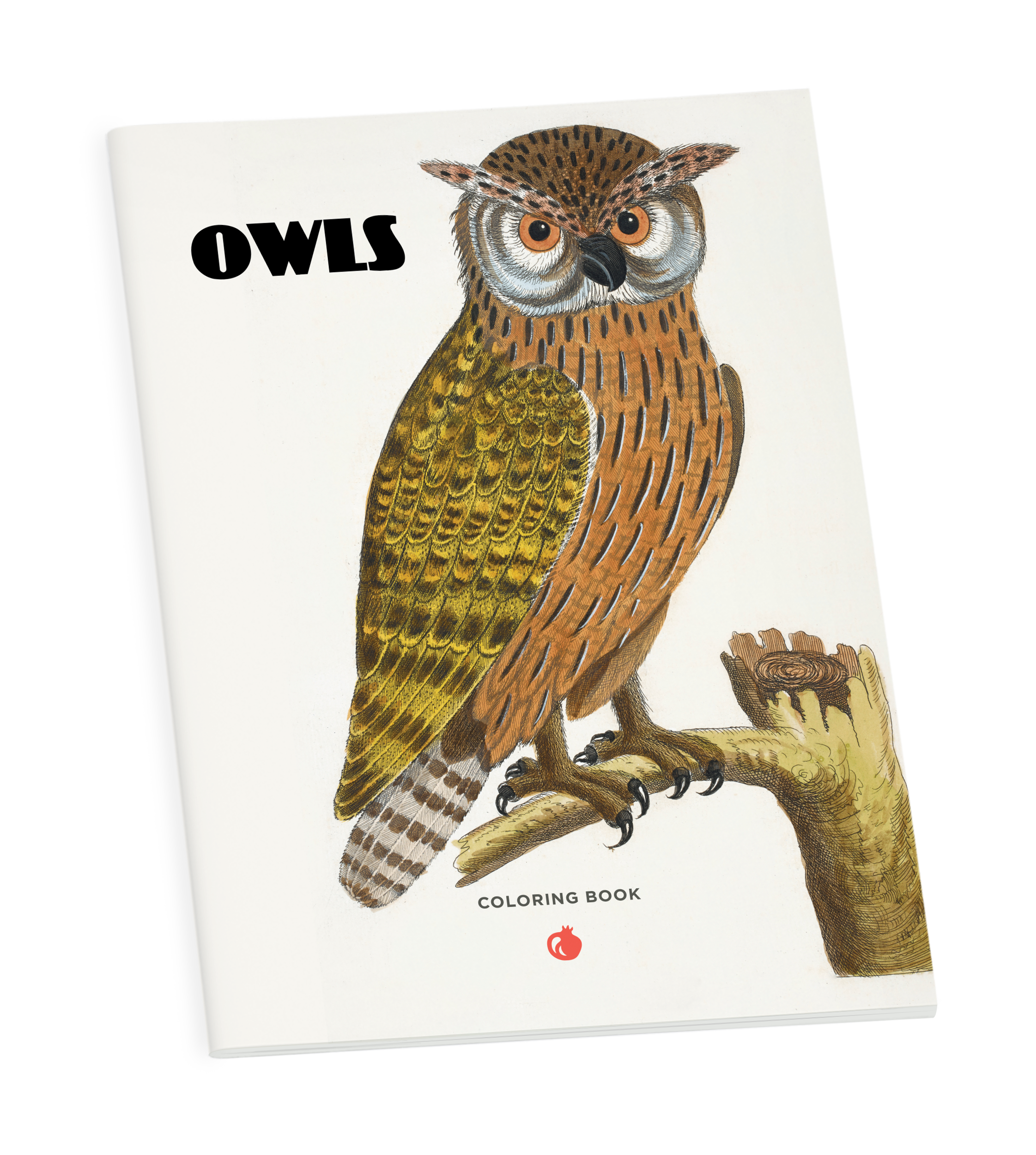 Pomegranate - Wholesale Coloring & Activity Book - Kids & Baby - Owls Coloring Book0