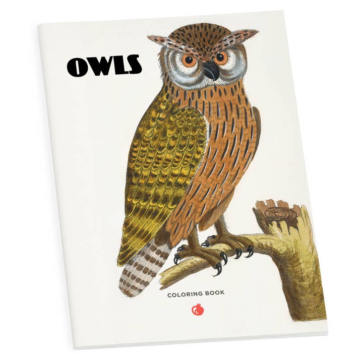 Pomegranate - Wholesale Coloring & Activity Book - Kids & Baby - Owls Coloring Book