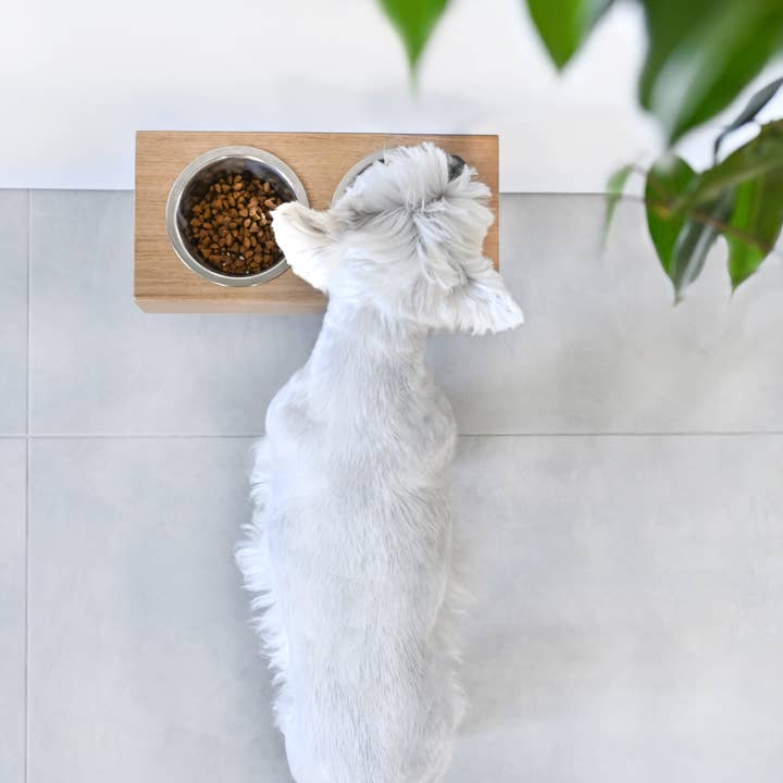 ValiaiDesign – Engroshandel Madskål på stativ til kæledyr – kat/hund – Små hunde og katte træ forhøjet stativ med skåle