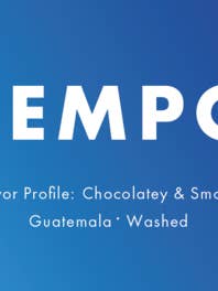 Tempo 5lb vaskede kaffebønner fra Tres Pinos, Comayagua for engroshandel hos New Wave Coffee Roasters