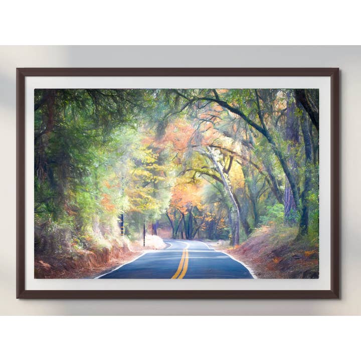 Art mural sur toile, feuillage d'automne de la Sierra Nevada, beaux-arts pour la vente par Richard Miles Photos