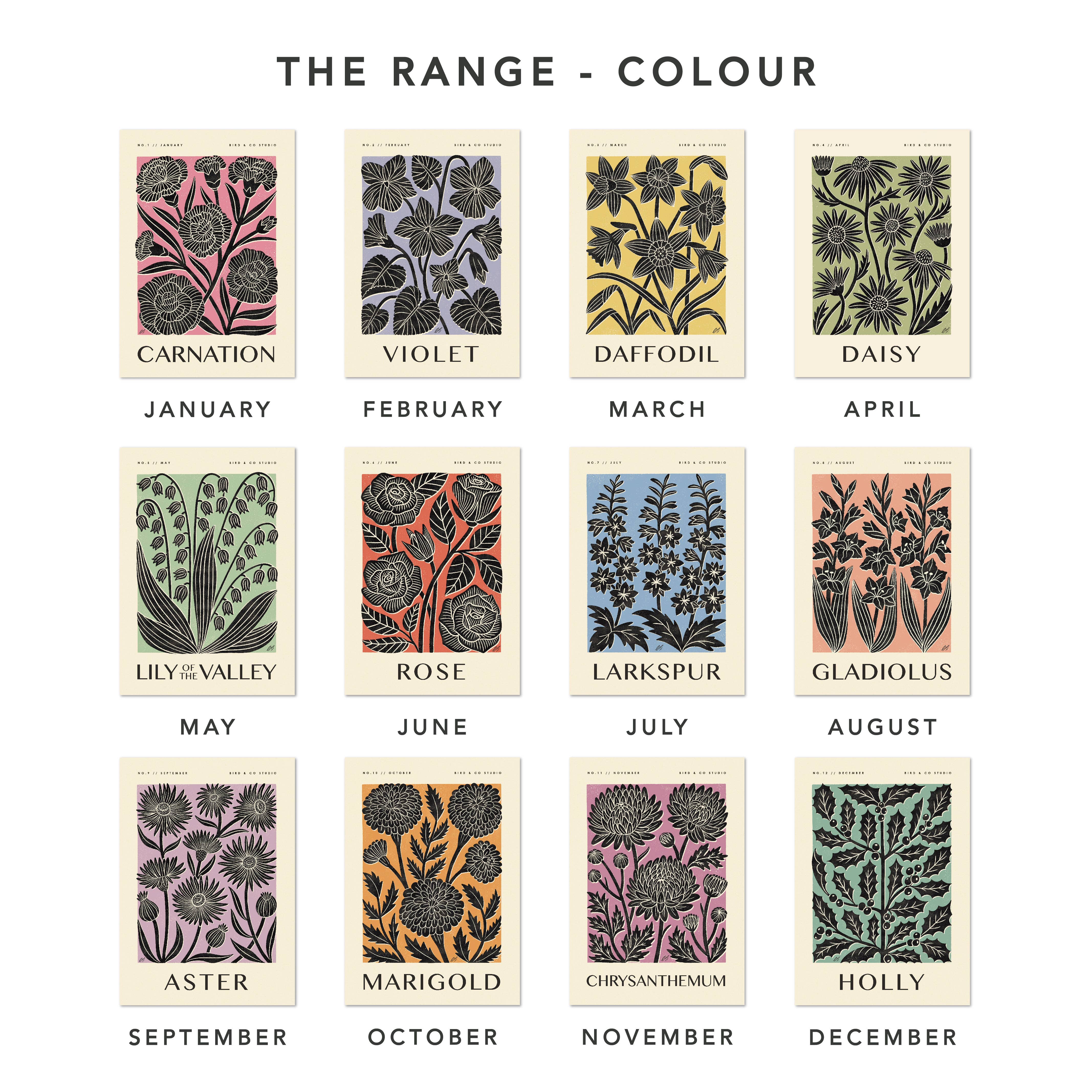 Bird & Co Studio - Wholesale Art Print - October Marigold | Botanical Birth Flower Art Print4