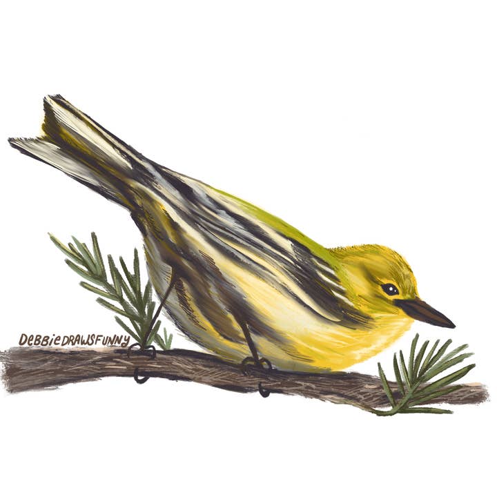 Fyrresanger vinylklistermærke - fuglenørd-klistermærke håndtegnet for engroshandel hos Debbie Draws Funny
