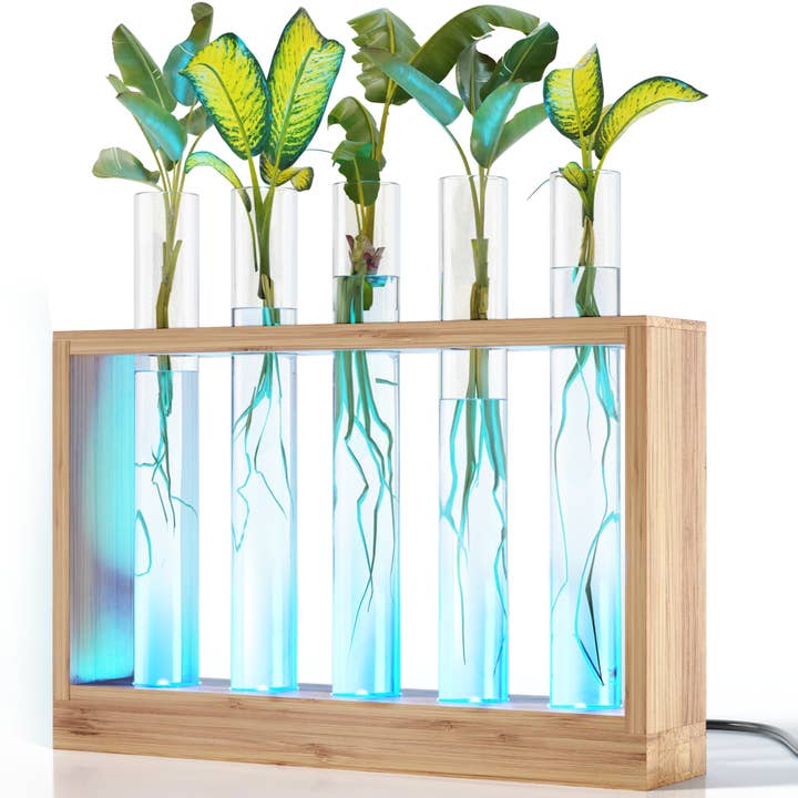 Planter's Choice - Wholesale Live Plant - Light Up Bamboo Vial Air Planter