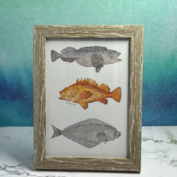 Halibut, Rockfish, and Lingcod Fish Chart Print for wholesale by Sea Spray AK