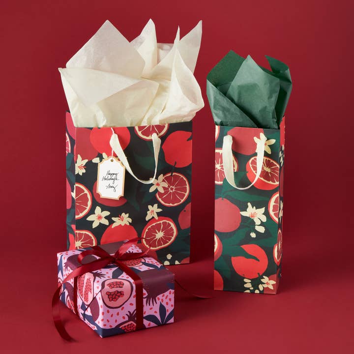 March Party Goods - Wholesale Gift Bag - Winter Zest Medium Gift Bag1