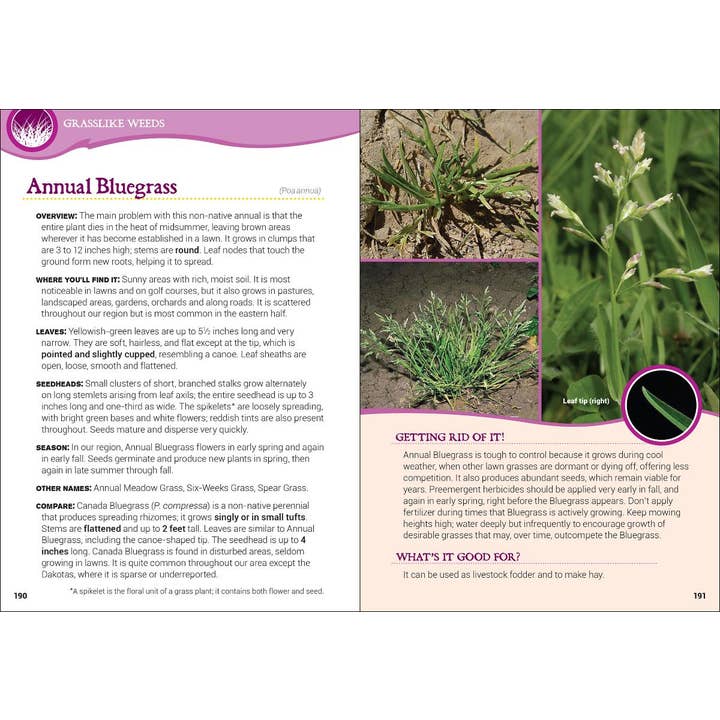 AdventureKEEN - Wholesale Book - Adult - Common Backyard Weeds of the Upper Midwest