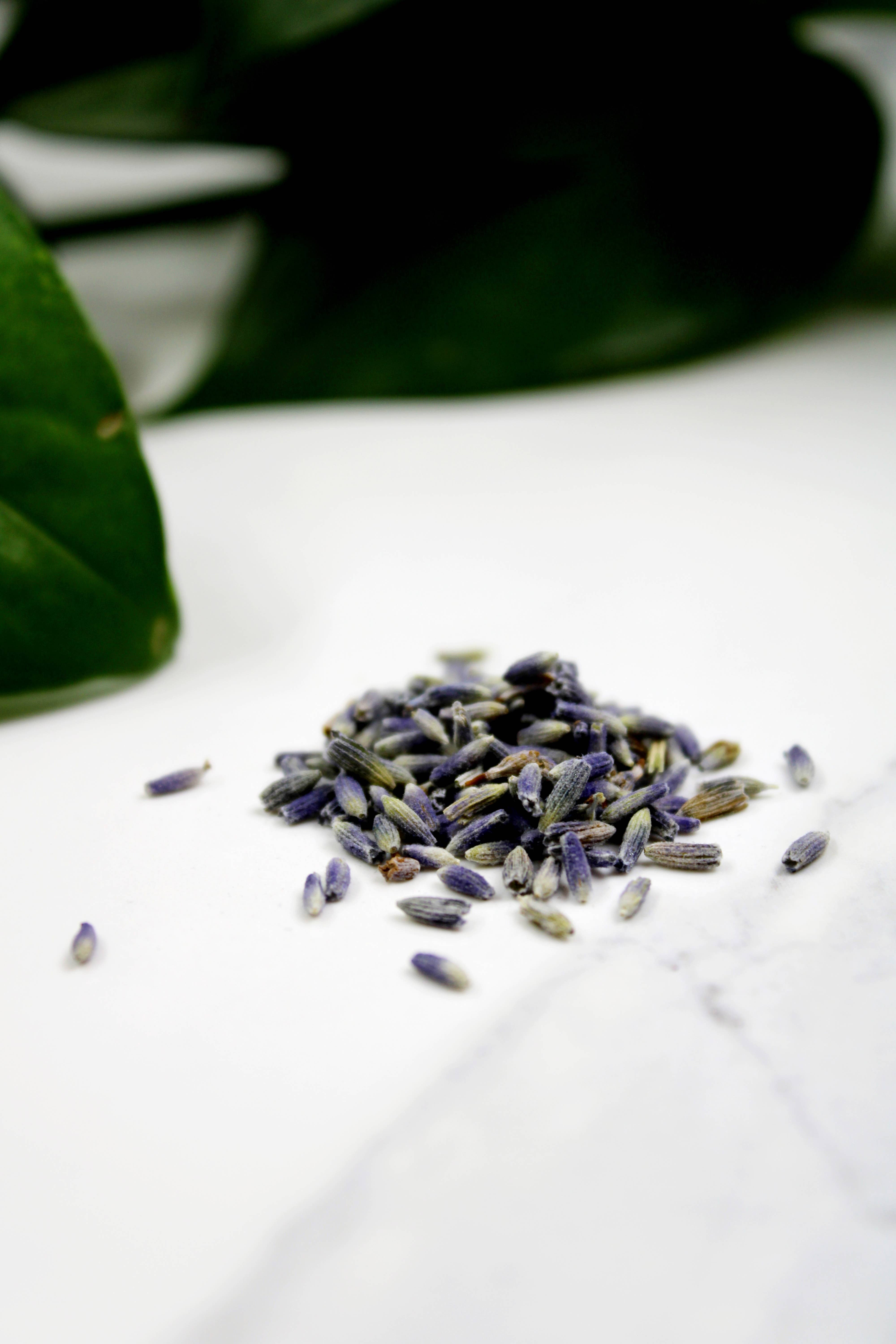 Three Witches Tea Shop – wholesale Herbs – Organic French Lavender2