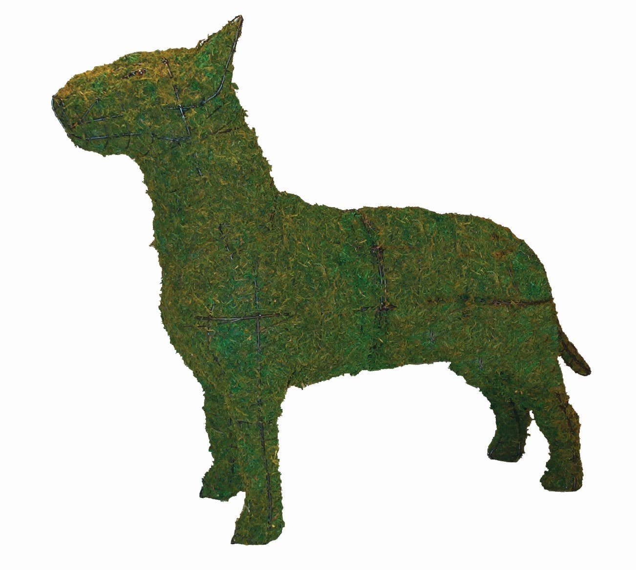 Braun - Wholesale Outdoor Ornament/Decor - Bull Terrier - 27"  (Mossed)0