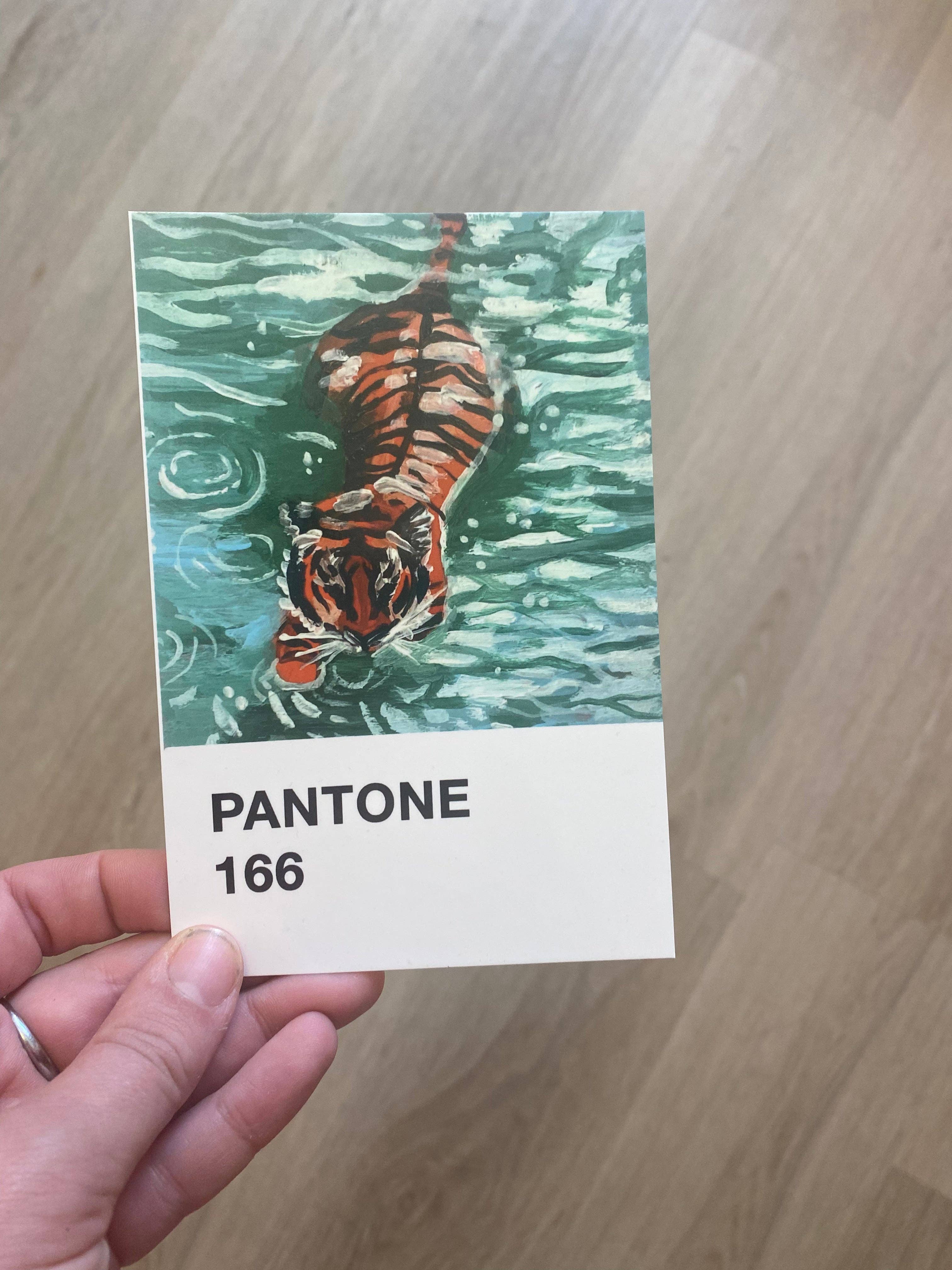 The Abstract By Sasha - Venta al por mayor Ilustración - Pantone 166- Tigre en el agua2