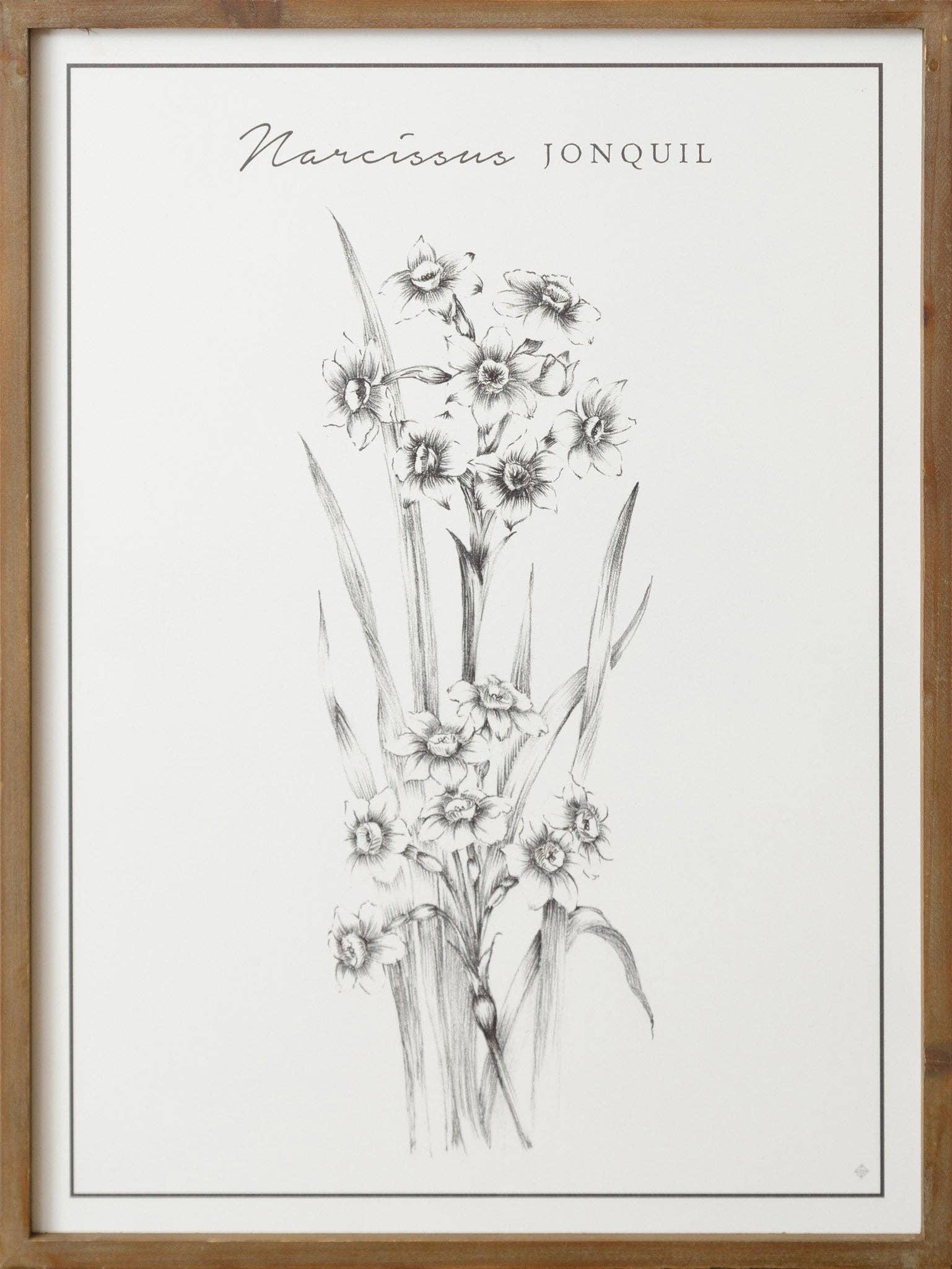 Audrey's Home & Gift – Großhandel Bilderwand-Set – Schilder - Assed Botanical Prints (Pk/04 Ast)2