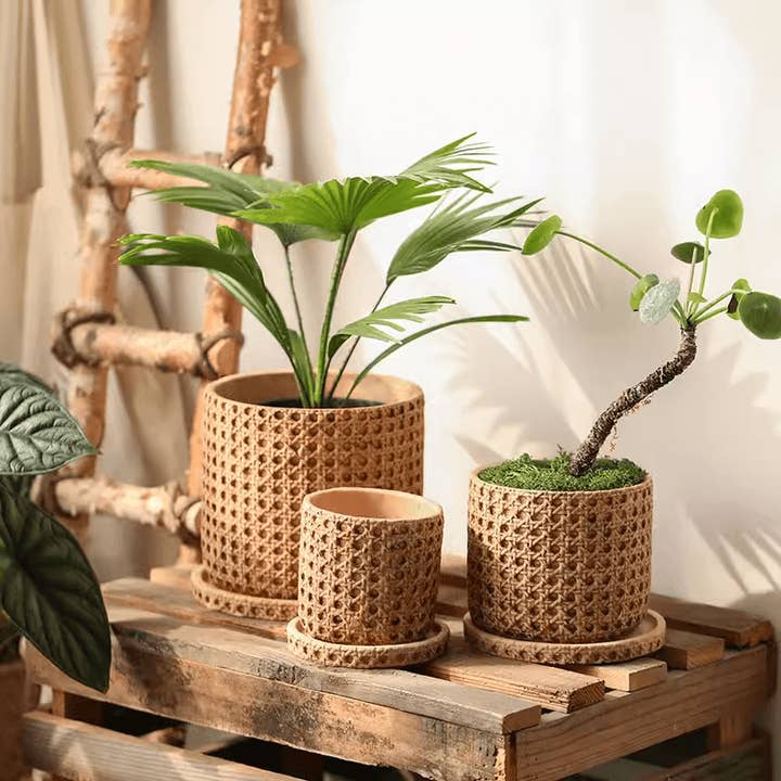 Rustic Reach - Wholesale Plant Pot - Faux Woven Grid Cement Pot