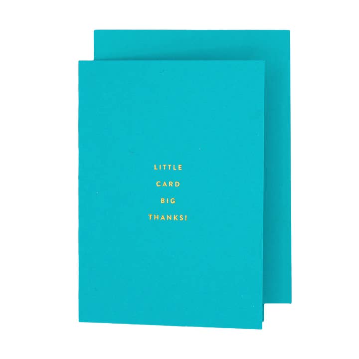 Little Card Big Thanks Petite Thank You Card for wholesale by The Social Type