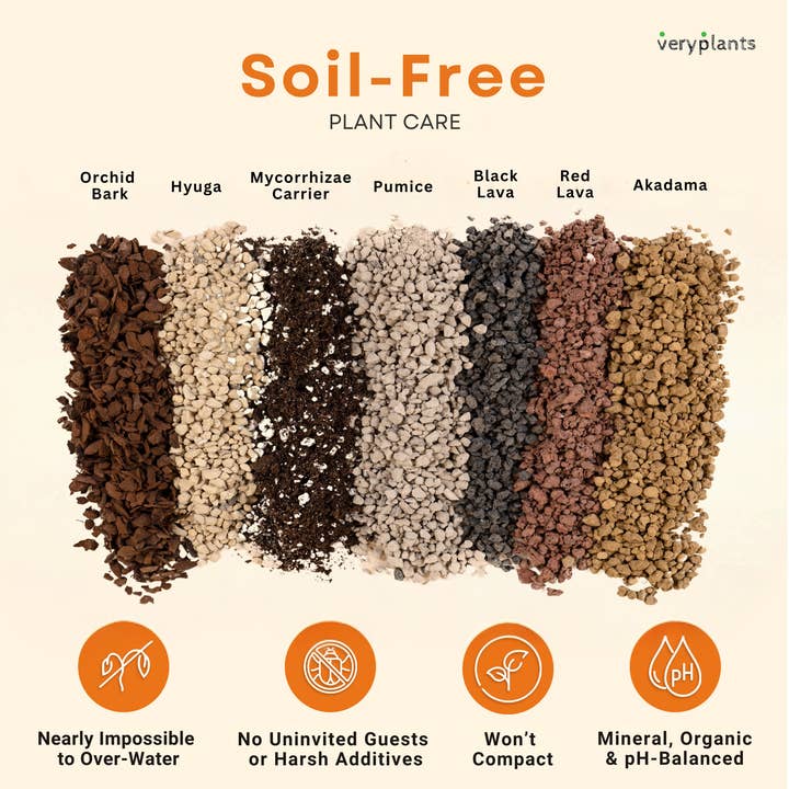 Veryplants Inc - Wholesale Planting/Potting Soil - Molly's Succulent Mix - Premium Soilless Gritty Mix- 5 Quart2