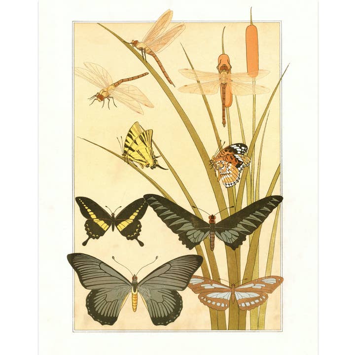 Jugendstil Schmetterling & Libelle | L'animal dans la Décoration | Naturkundekunstdruck | Modernes Vintage-Dekor | Umweltfreundliches Geschenk für den Großhandel von Rock Paper Scissors Wall Art