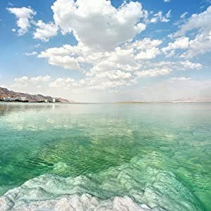 Shwally – Großhandel Gesichtsserum/-konzentrat – Shwally Repair Serum mit Methylenblau & Toten Meer Mineralien8