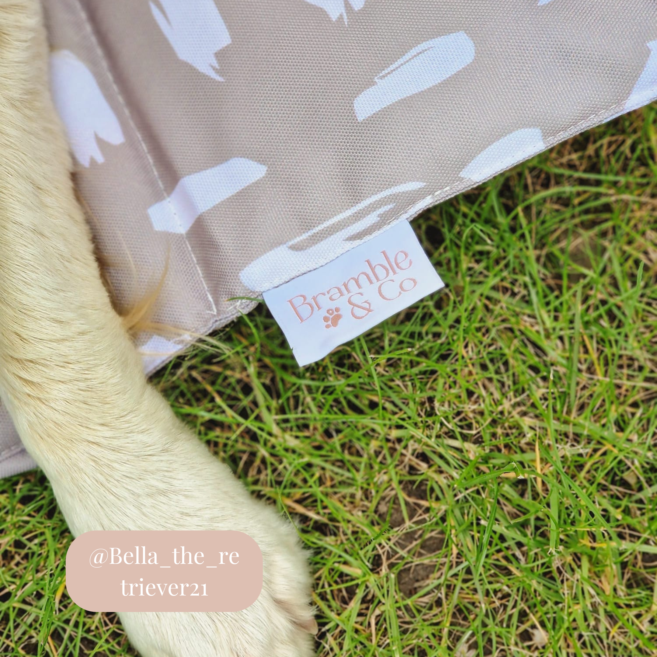 Bramble & Co - Venta al por mayor Esterilla - Perros - Alfombrilla de Viaje - La Neutralidad de los Sentimientos11