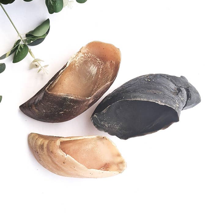 Cow Hoof (Beef toe nail) for wholesale by Biggie's Raw Pantry