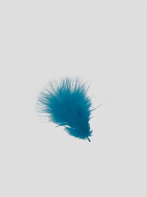 Marabou 7 cm Turkoois voor wholesale door Enkels Feathers