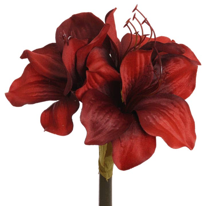 Floratexx - Wholesale Artificial Flowers - amaryllis 50 cm red
