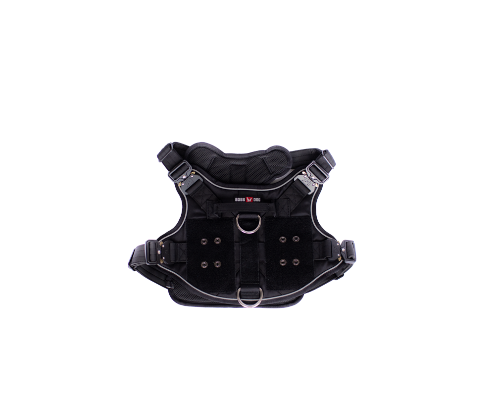 BOSS DOG BRAND, INC. - Wholesale Pet Harness - Dog - Boss Dog Harness0