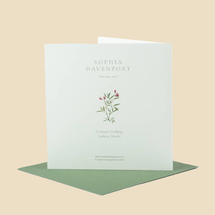 Sophia Davenport - Wholesale Everyday Greeting Card - Wildflower Greeting Cards and Notelets13