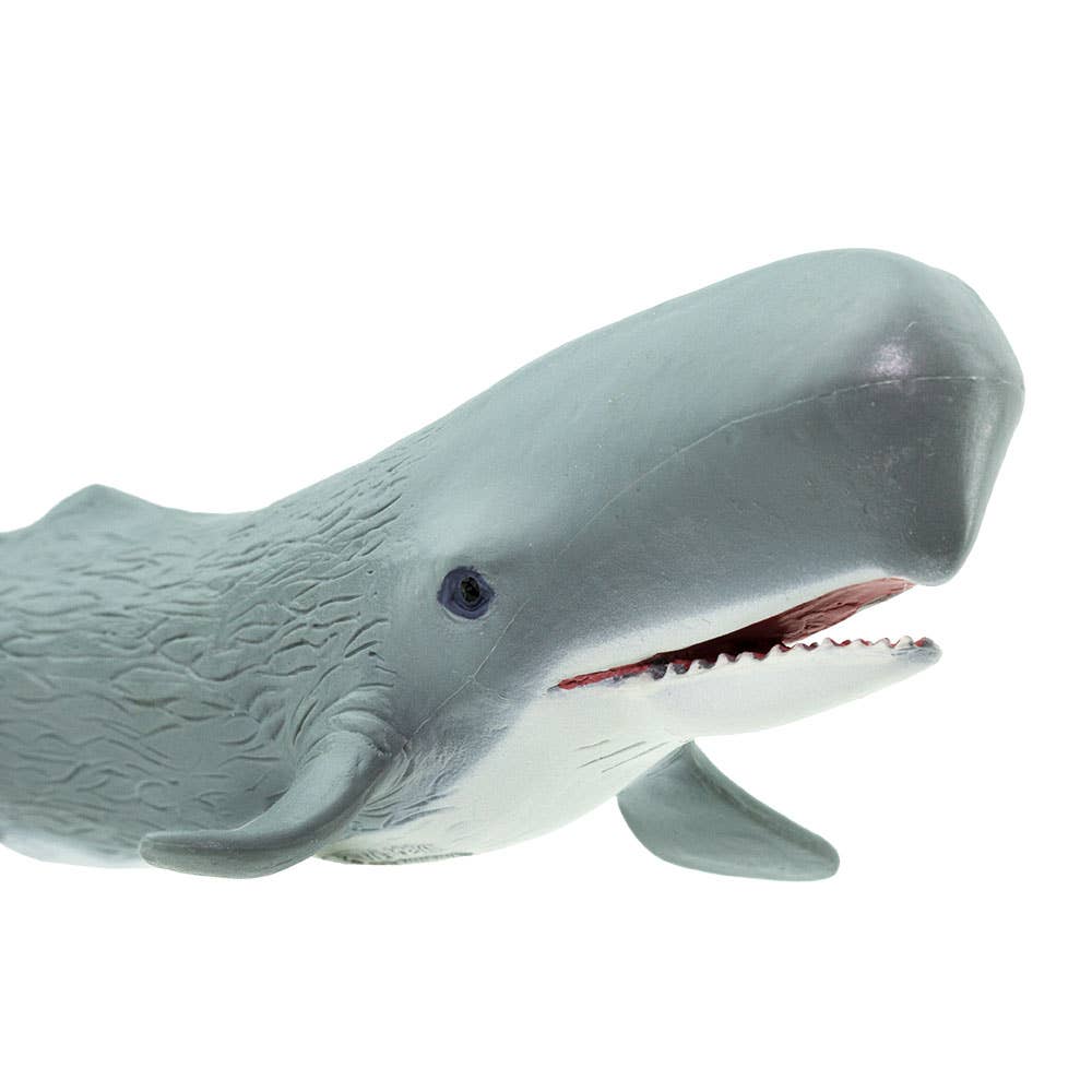 Safari Ltd. - Wholesale Figurine Toy - Kids - Sperm Whale Figurine Toy for Kids3