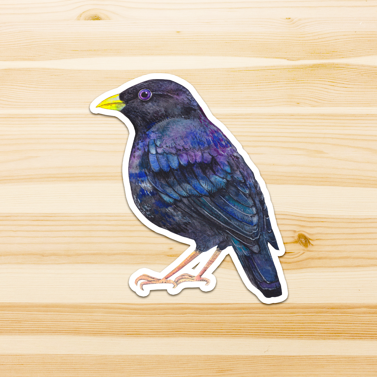 Watercolour By Cat - Vendita all'ingrosso Adesivo - Adesivo in vinile con grande uccello australiano10