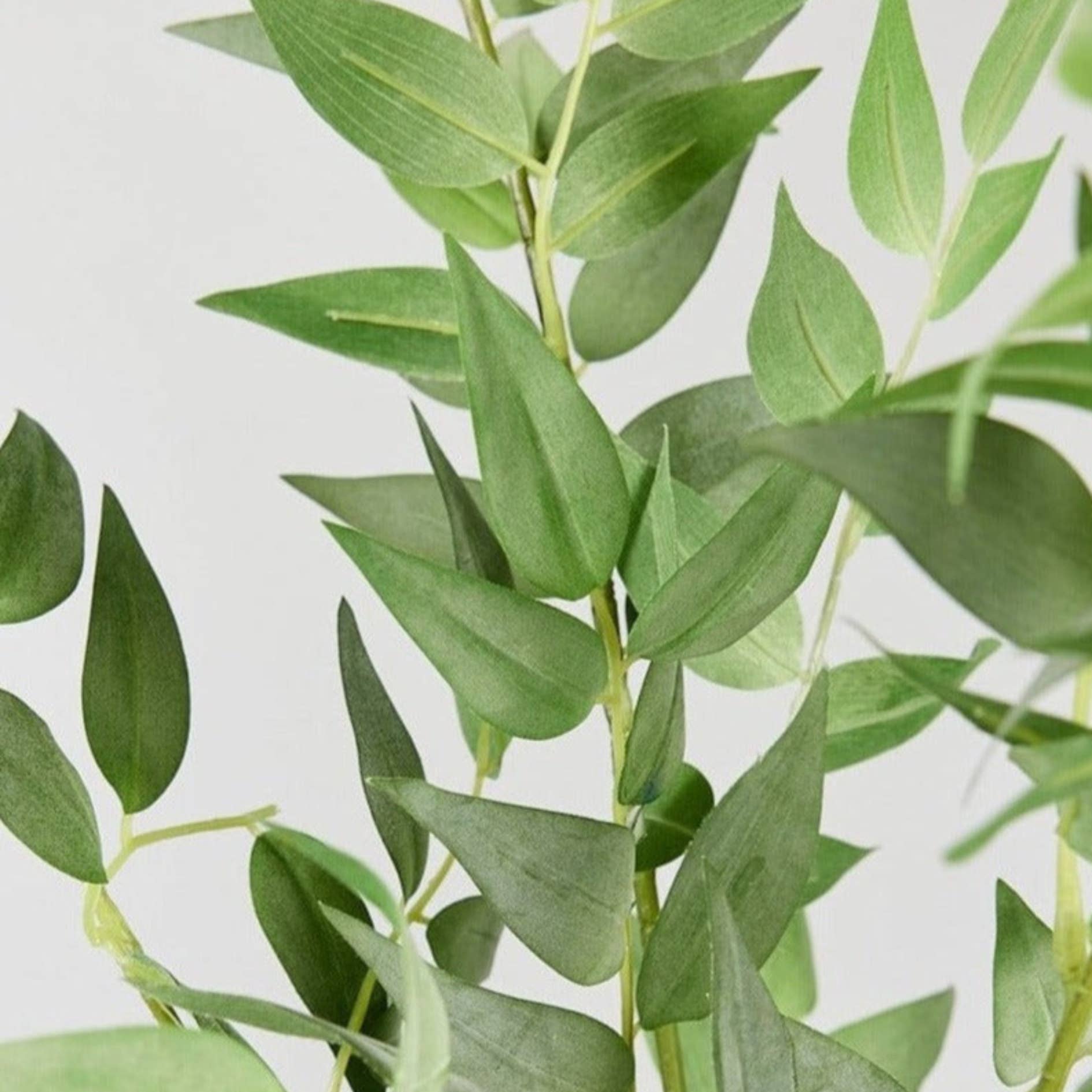 Afloral - Wholesale Artificial Flowers - Faux Italian Ruscus Spray - 46"2