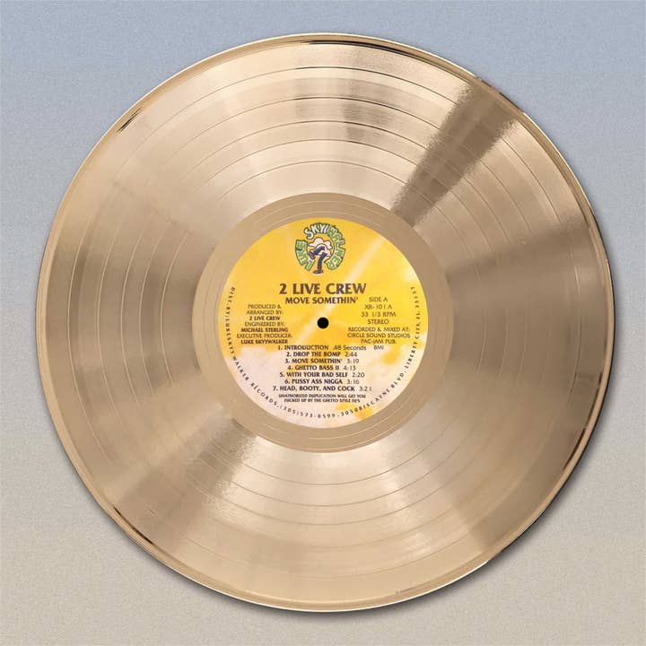 Décoration murale pour disque LP « Move Somethin » de 2 Live Crew pour la vente par Gold Record Outlet