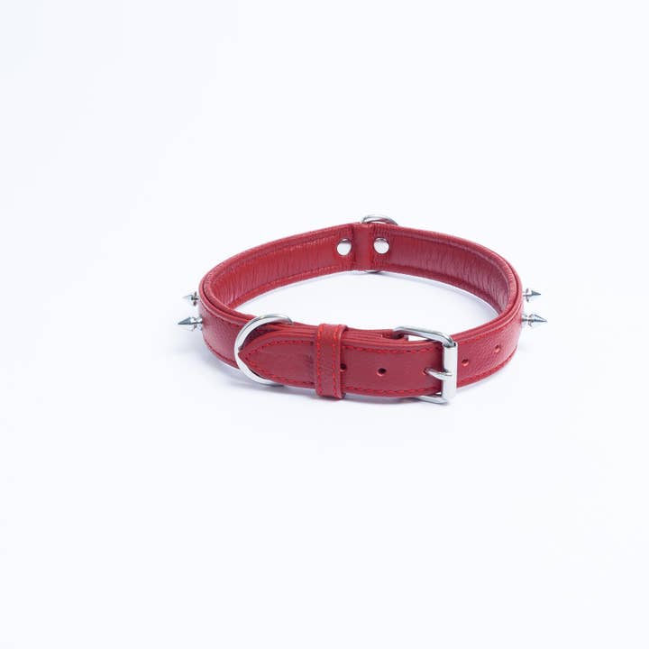Angel Pet Supplies Inc. - Wholesale Pet Collar - Dog - Rotterdam Spiked Dog Collar by ANGEL™7