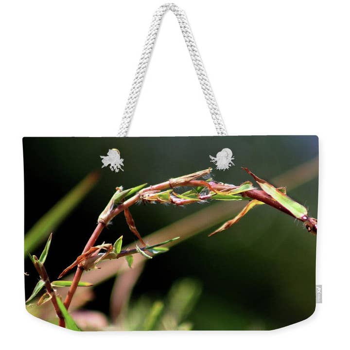SAC DE WEEK-END - SAC FOURRE-TOUT « THE NATURE CHARM » pour la vente par sorayadapuzzostore