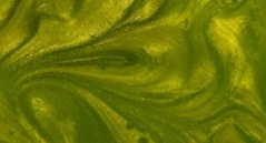 Arts Actually - Wholesale Dangle Earrings - Virginia: *Hypoallergenic* Wood and Resin Earrings14