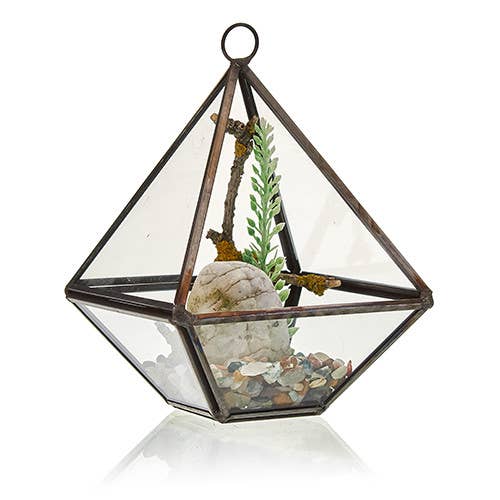 AWGifts Europe - Wholesale Terrarium - Glass Terrarium - Small Pyramid3
