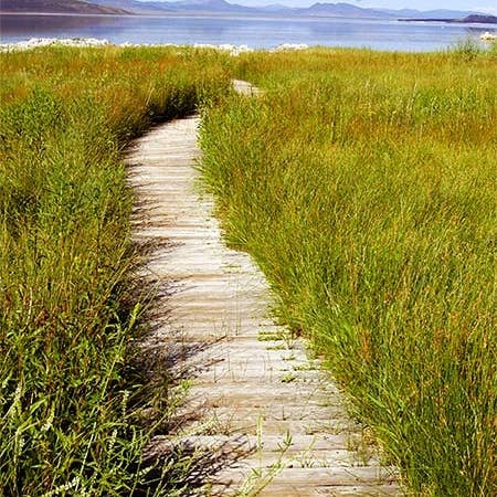 Wherever You May Go Graduation card for wholesale by MUNDO IMAGES